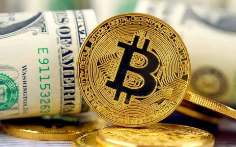 Celsius创始人Alex Mashinsky被判不得从破产索赔中获取任何资产